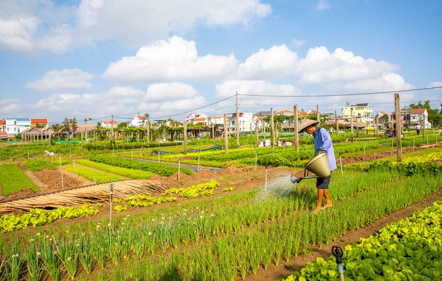 11 Days Fantastic Vietnam & Thailand