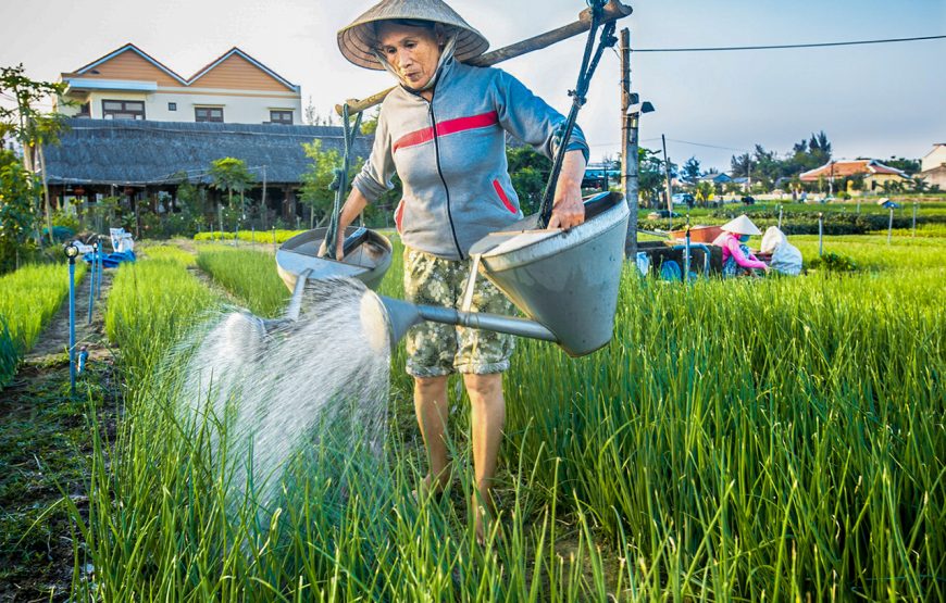 11 Days Fantastic Vietnam & Thailand