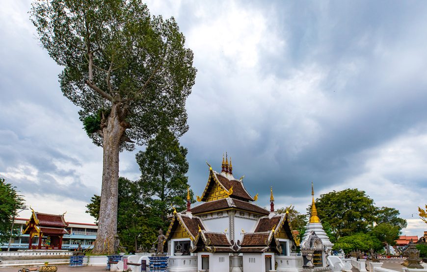 11 Days Fantastic Vietnam & Thailand