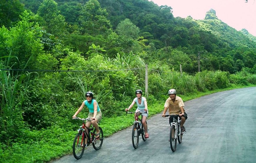 13 Days Authentic Vietnam Plus Golden Bridge