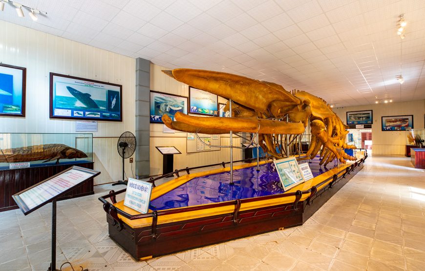 Private Tour: 13 Days Golf Trails Vietnam