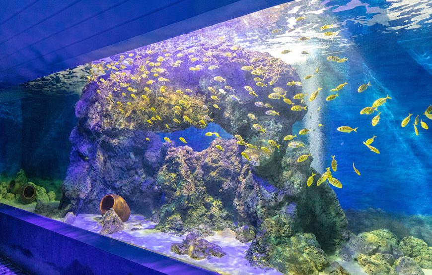 Private Tour: 13 Days Golf Trails Vietnam