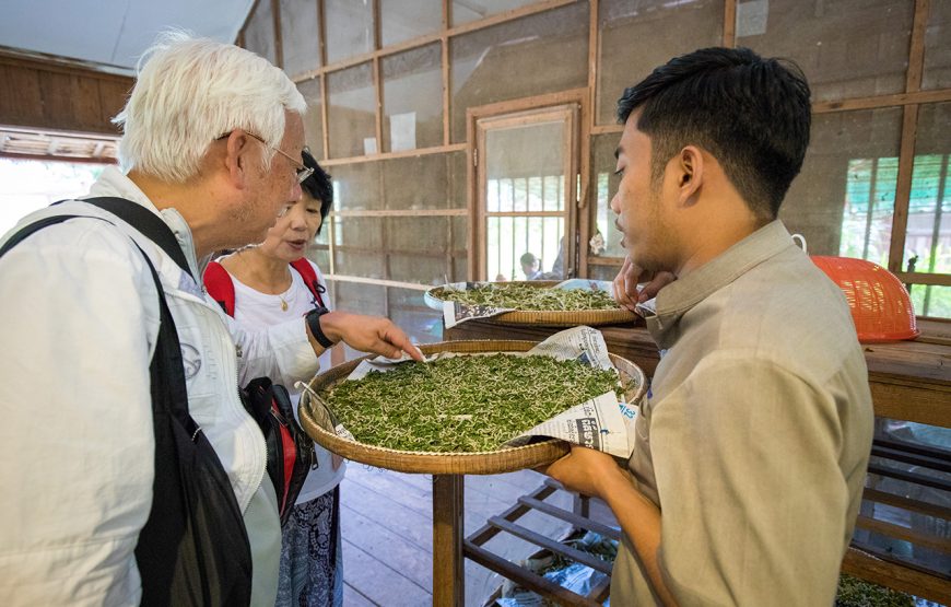 Private Tour: 6 Days Cambodia Highlights