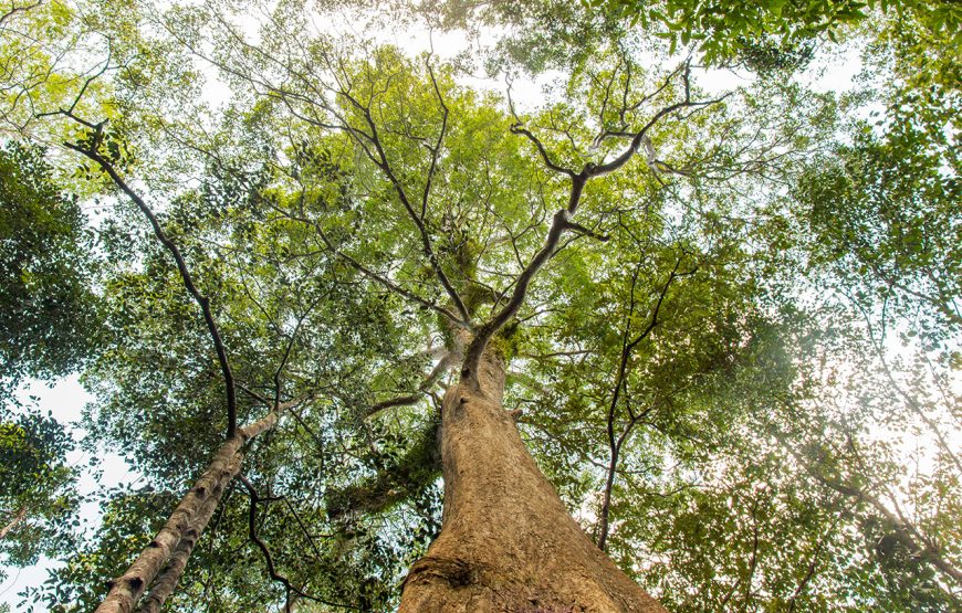 Private Tour: 4 Days Phu Quoc Pristine Beaches