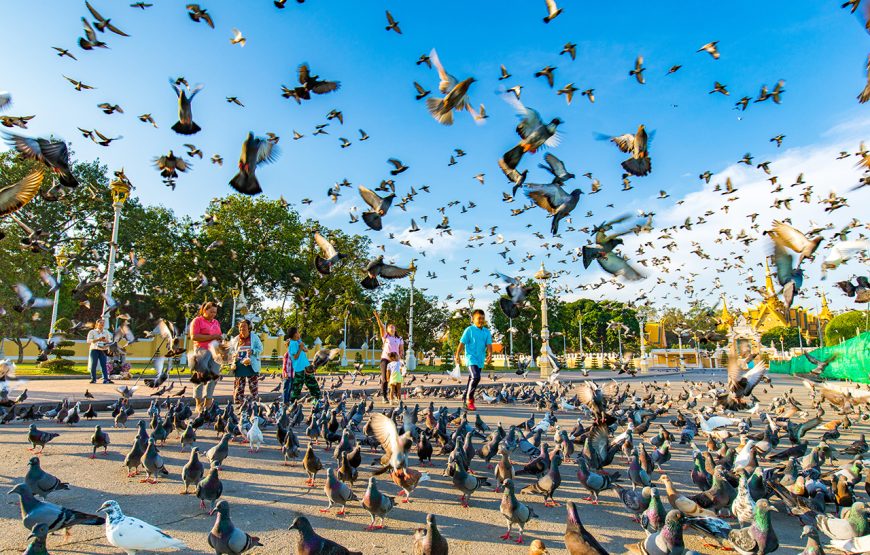 6 Days Cambodia Highlights