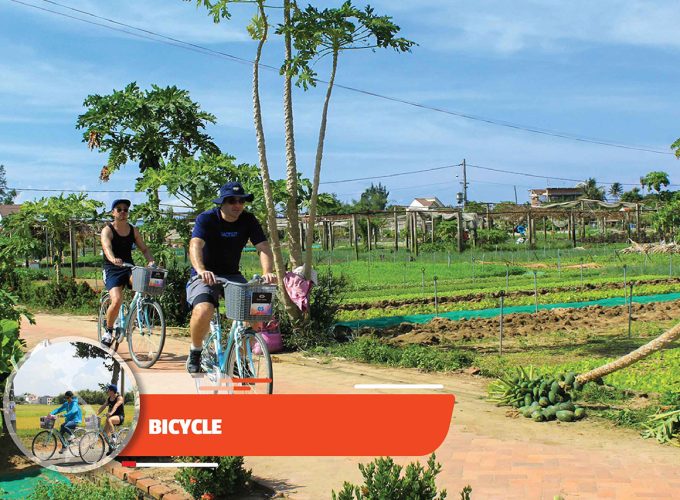 Bicycle Rental In Hoi An