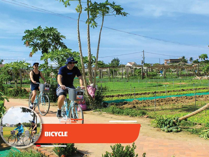 Bicycle Rental In Hoi An