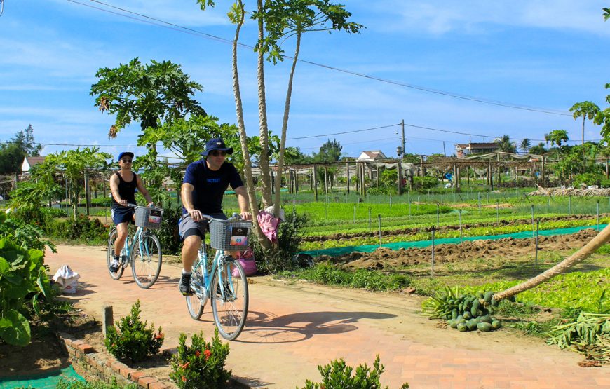 Bicycle Rental In Hoi An
