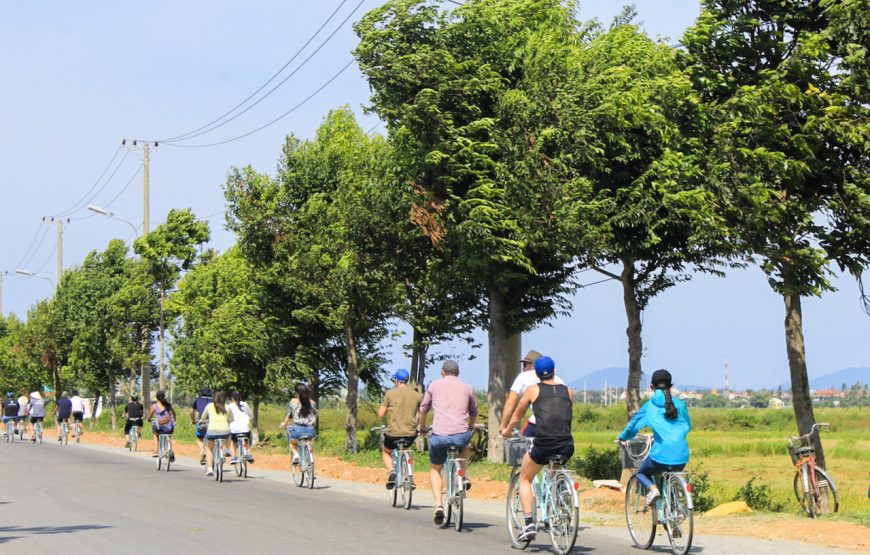 Bicycle Rental In Hoi An