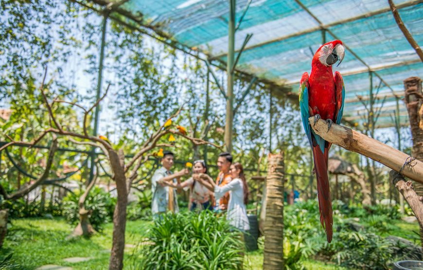 Entry Ticket: Vinwonder Nam Hoi An