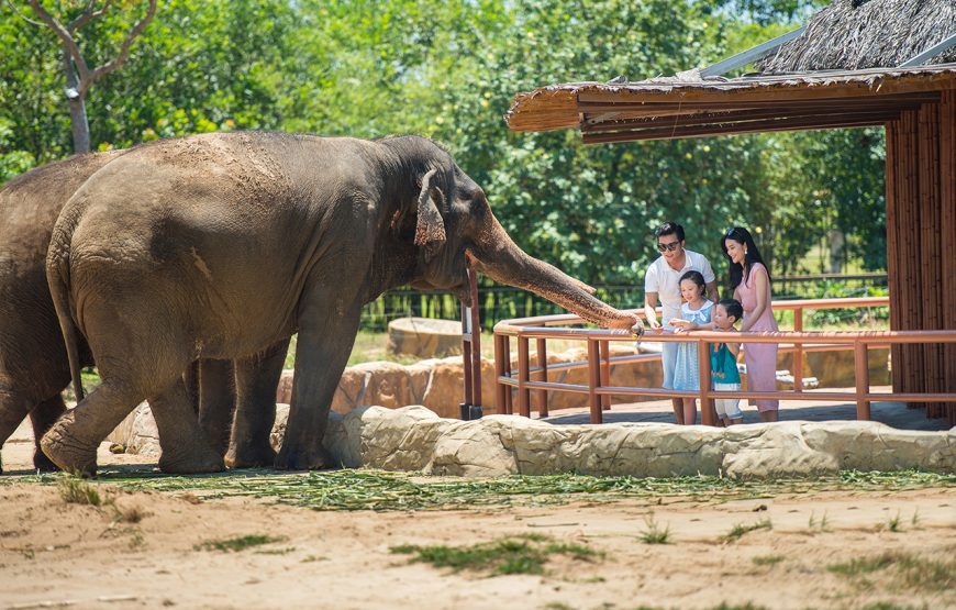 Entry Ticket: Vinwonder Nam Hoi An