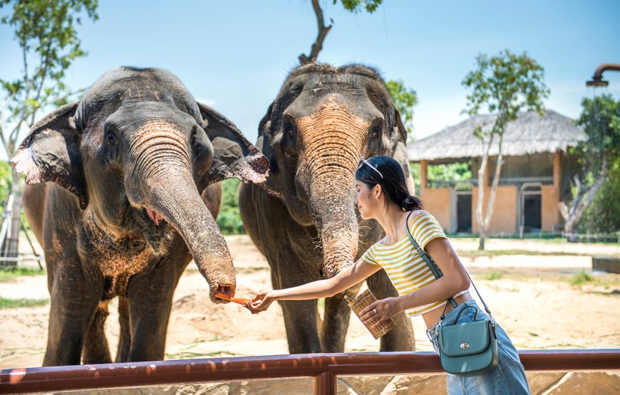 Entry Ticket: Vinwonder Nam Hoi An