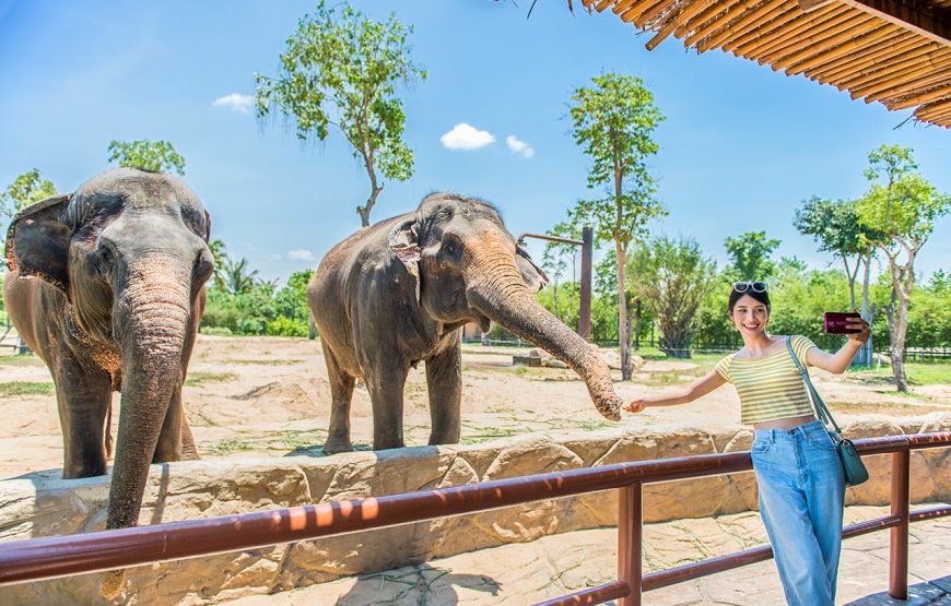 Private tour: River Safari With Candle-lit Beach Dinner From Hoi An