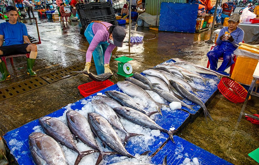 Private tour: Good Morning Hoi An