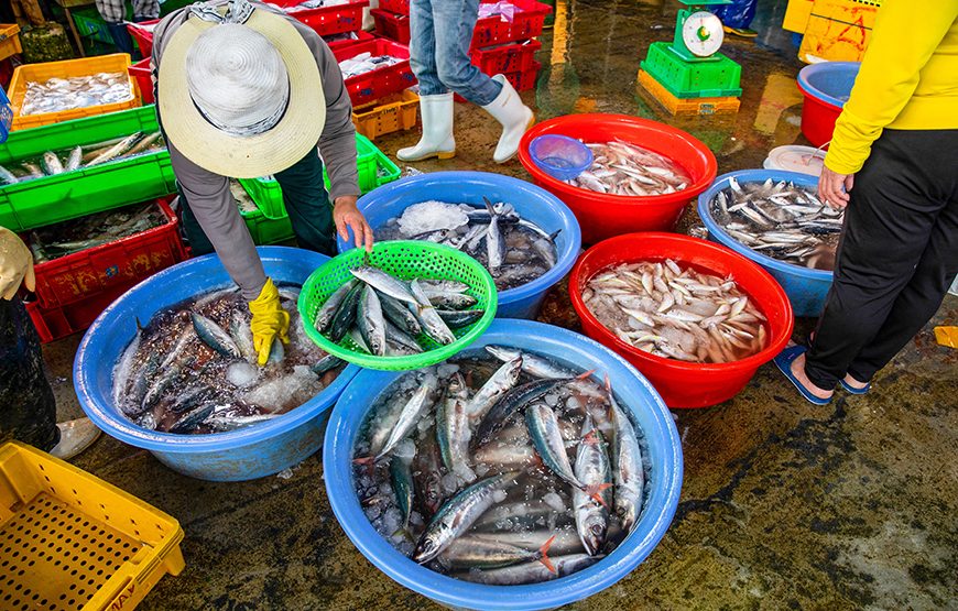 Private tour: Good Morning Hoi An