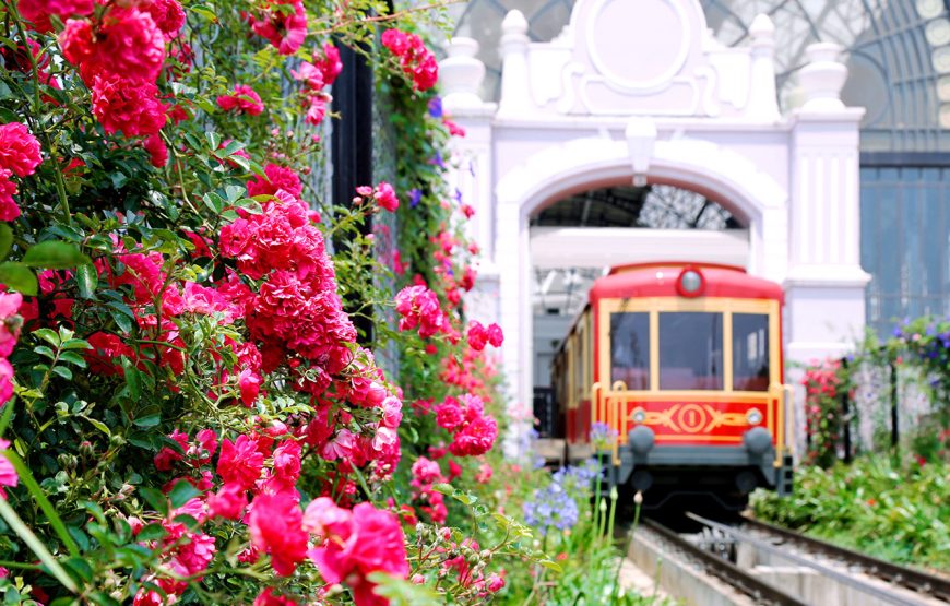 Entry ticket: Sun World Fansipan Legend