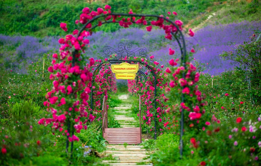 Entry ticket: Sun World Fansipan Legend
