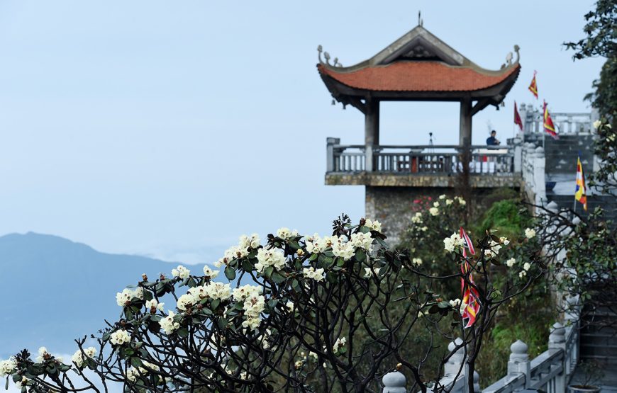 Entry ticket: Sun World Fansipan Legend