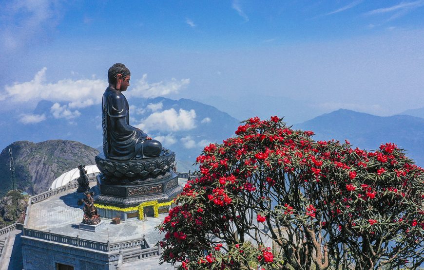 Entry ticket: Sun World Fansipan Legend