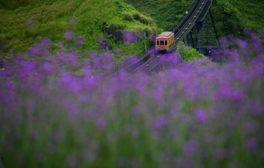 Entry ticket: Sun World Fansipan Legend