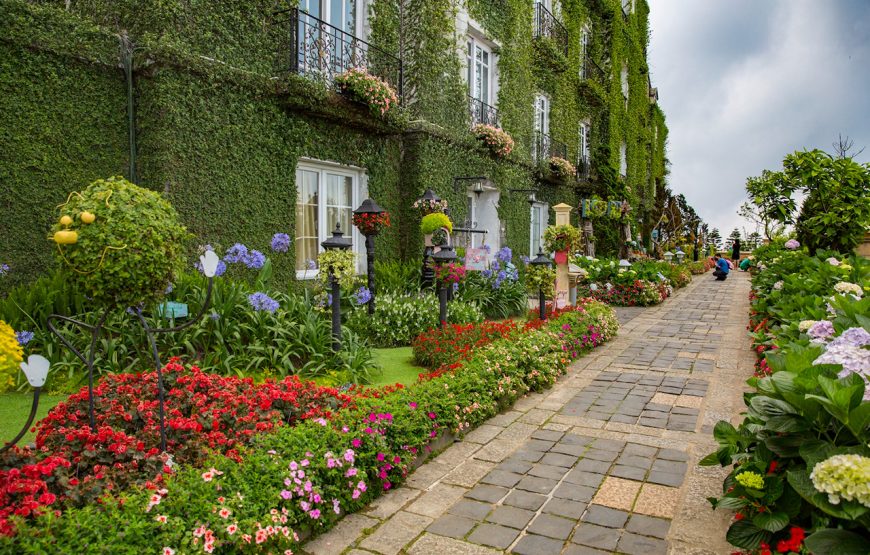 Full-day Ba Na Hills & Amazing Golden Bridge From Chan May Port