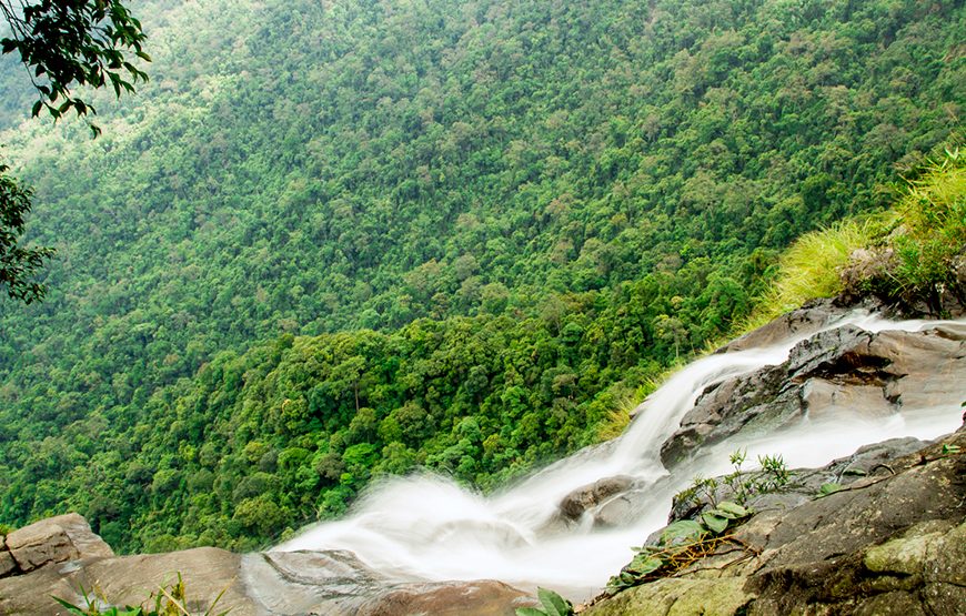Full-day Bach Ma National Park Trekking Tour From Da Nang