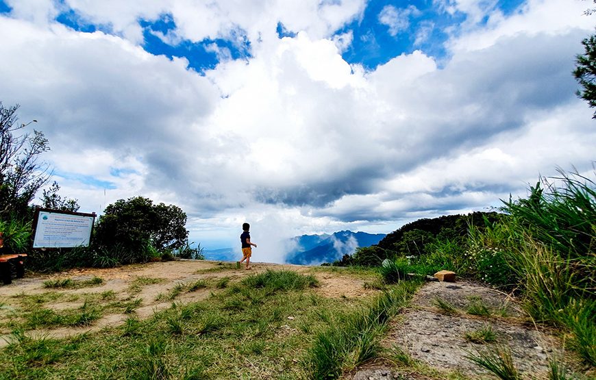 Full-day Bach Ma National Park Trekking Tour From Da Nang