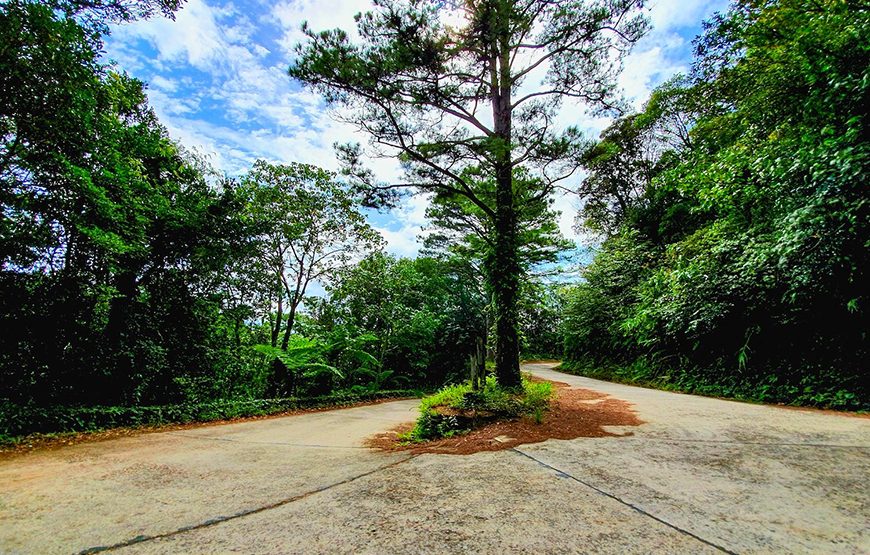 Full-day Bach Ma National Park Trekking Tour From Da Nang