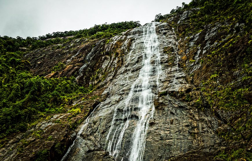 Full-day Bach Ma National Park Trekking Tour From Da Nang