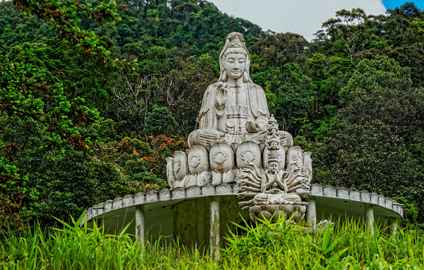 Full-day Bach Ma National Park Trekking Tour From Da Nang