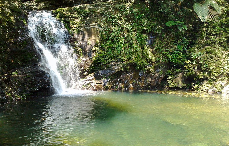 Full-day Bach Ma National Park Trekking Tour From Da Nang