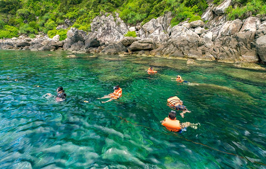 Full-day Cham Island Tour & Snorkeling From Da Nang