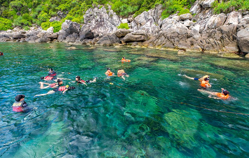 Full-day Cham Island Tour & Snorkeling From Da Nang