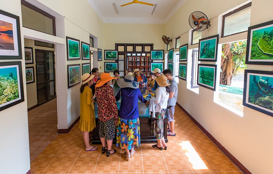 Full-day Cham Island Tour & Snorkeling From Da Nang