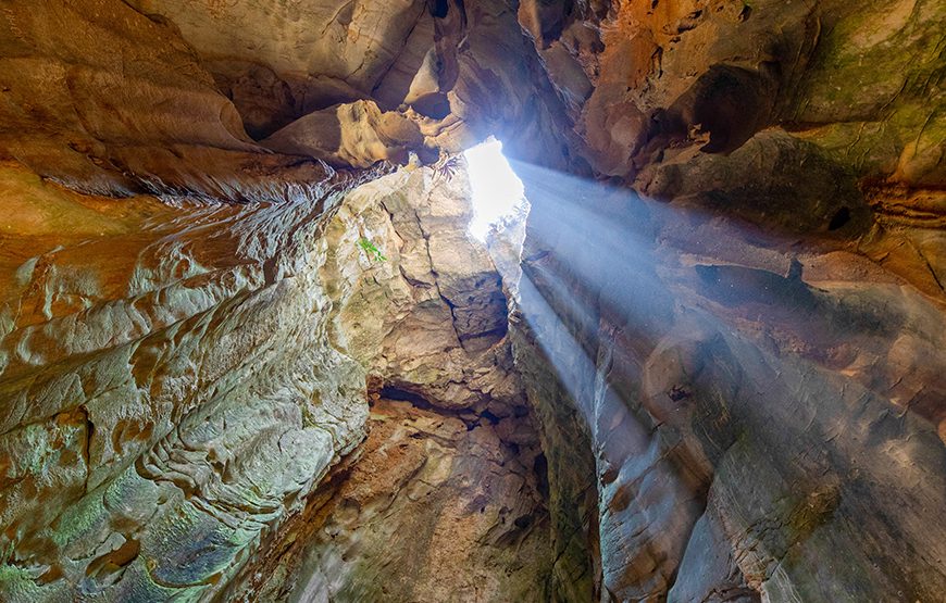 Private tour: Full-day Discover Da Nang Museum, Marble Mountain, Son Tra Peninsula