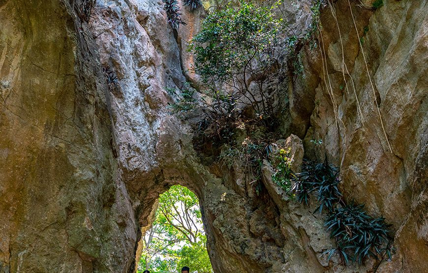 Private tour: Full-day Discover Da Nang Museum, Marble Mountain, Son Tra Peninsula