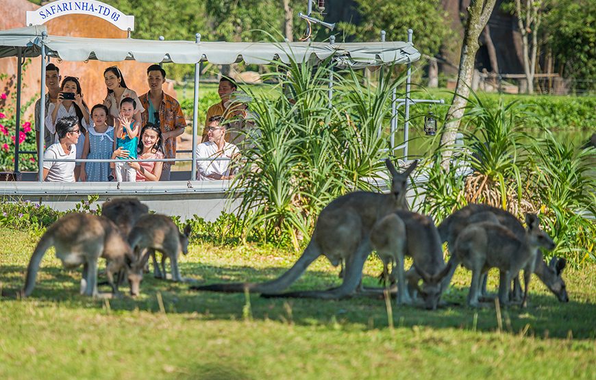 River Safari With Candle-lit Beach Dinner From Hoi An