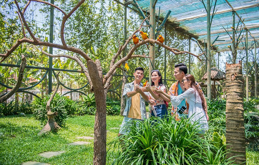 River Safari With Candle-lit Beach Dinner From Hoi An