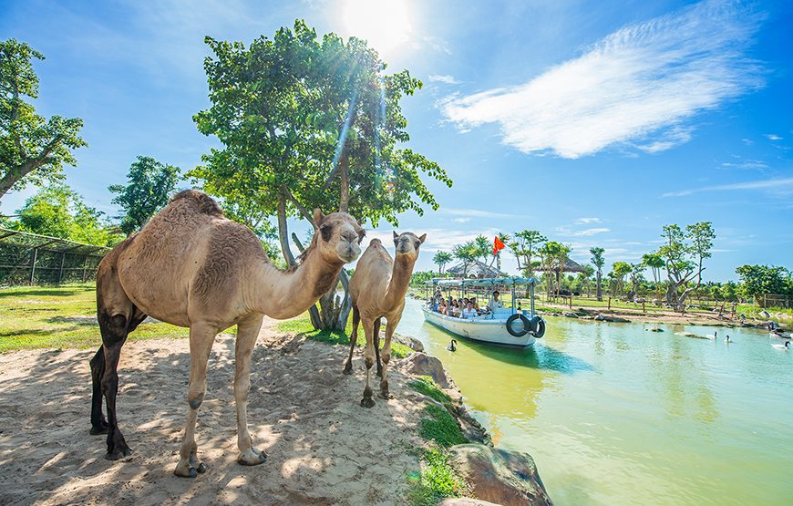 River Safari With Candle-lit Beach Dinner From Hoi An