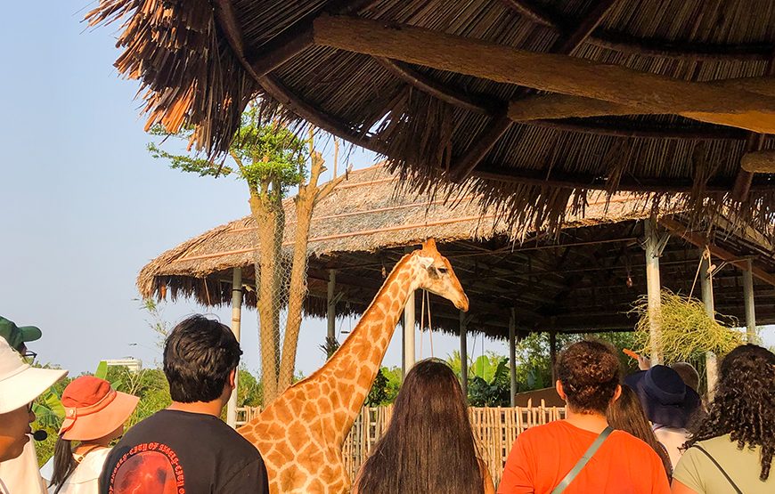 River Safari With Candle-lit Beach Dinner From Hoi An
