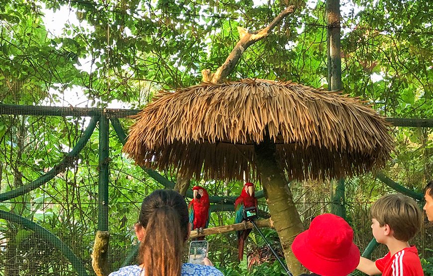River Safari With Candle-lit Beach Dinner From Hoi An