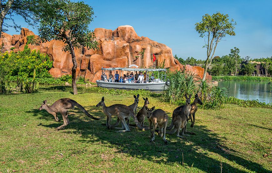 River Safari With Candle-lit Beach Dinner From Hoi An