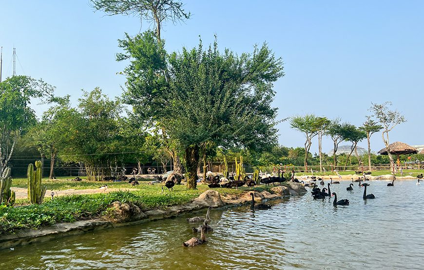 River Safari With Candle-lit Beach Dinner From Hoi An