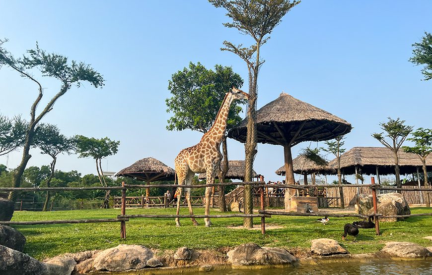 River Safari With Candle-lit Beach Dinner From Hoi An