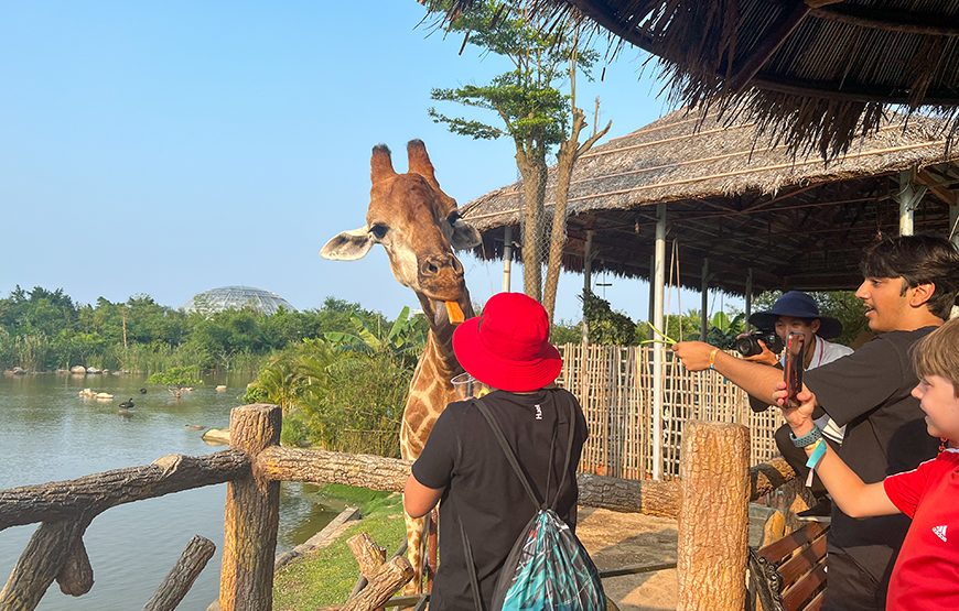 River Safari With Candle-lit Beach Dinner From Hoi An