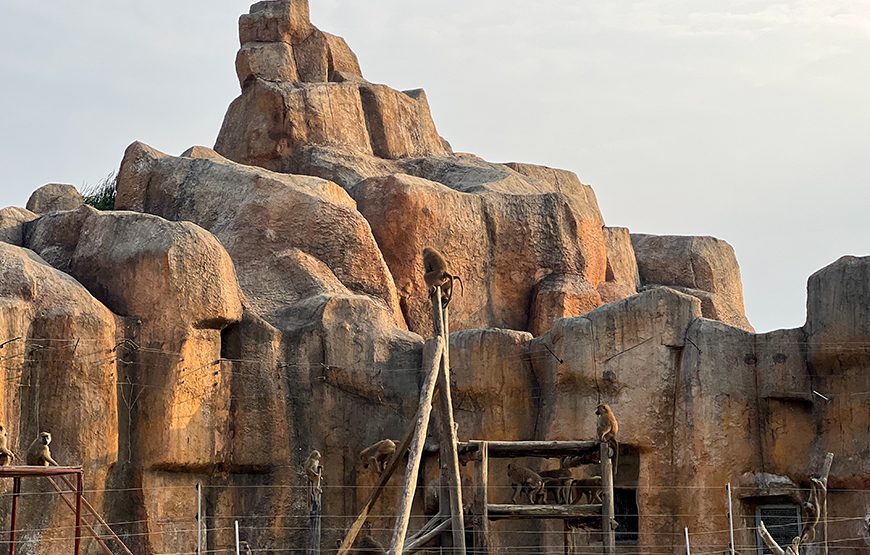 River Safari With Candle-lit Beach Dinner From Hoi An