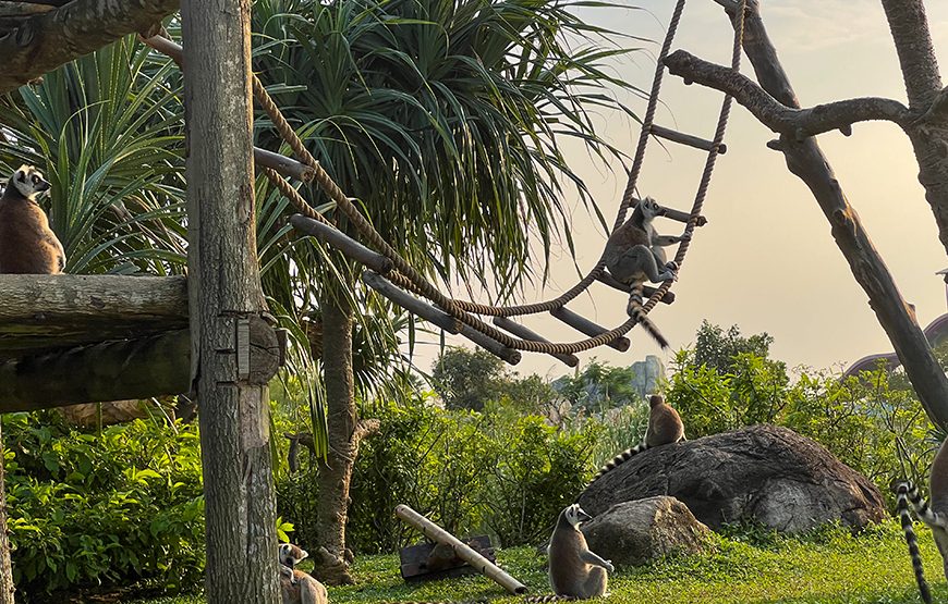 River Safari With Candle-lit Beach Dinner From Hoi An