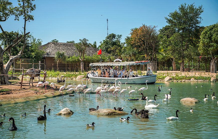 River Safari With Candle-lit Beach Dinner From Hoi An