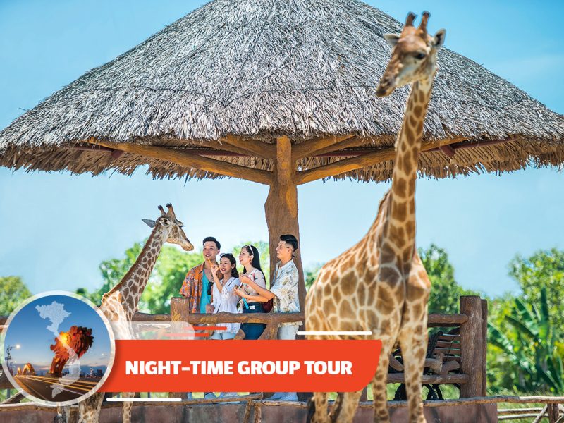 Hoi An River Safari With Candle-lit Beach Dinner From Da Nang