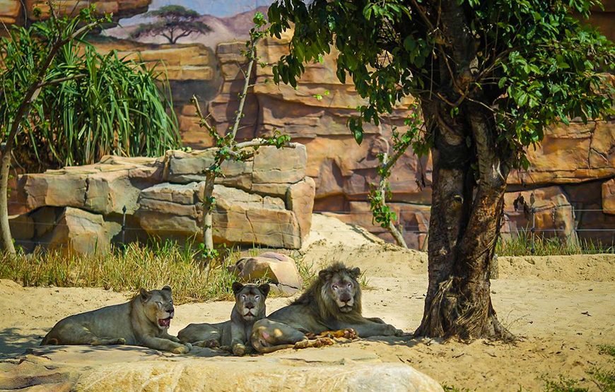 Private tour: River Safari With Candle-lit Beach Dinner From Hoi An